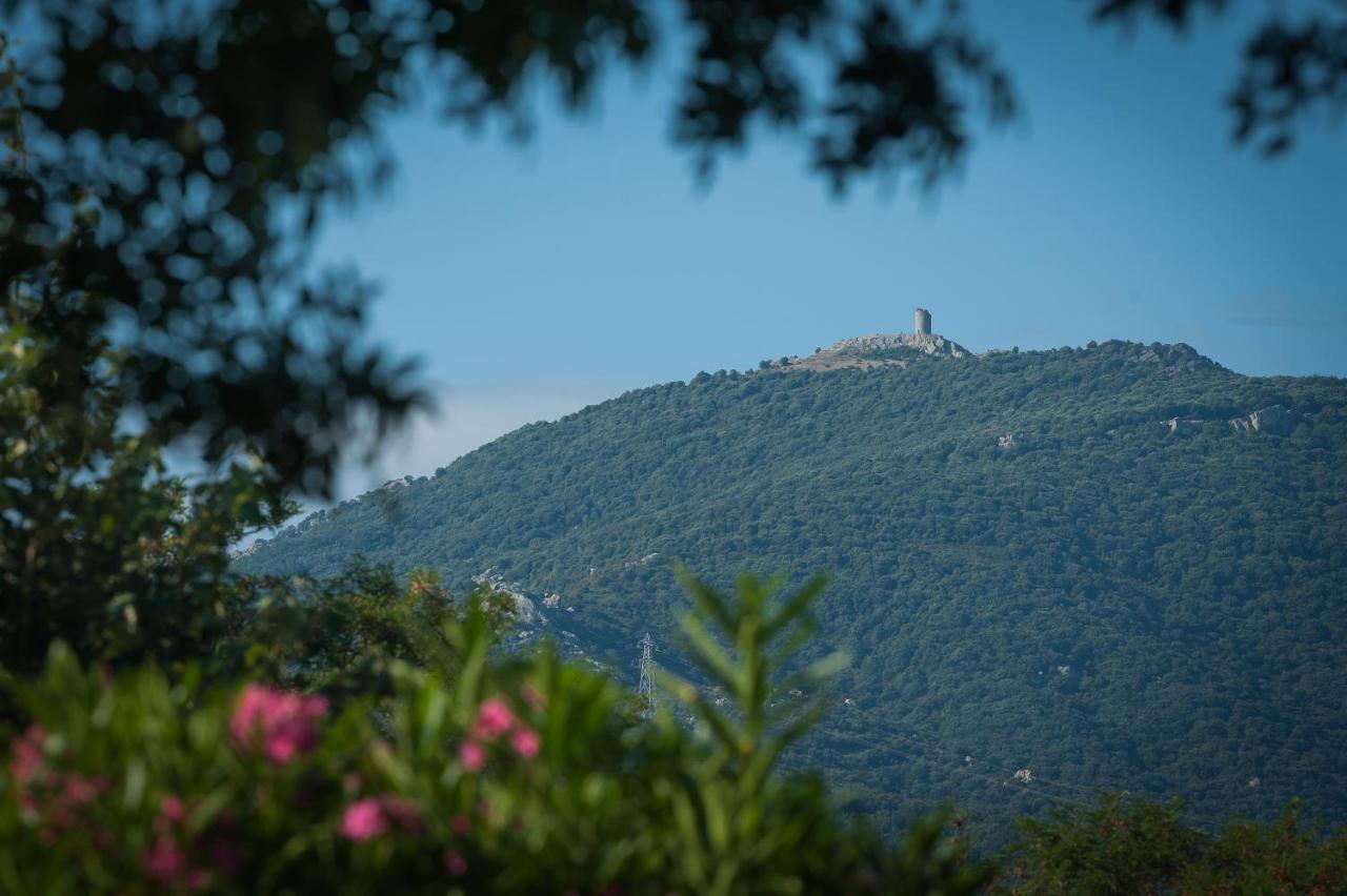 Camping La Plage Argeles Dış mekan fotoğraf